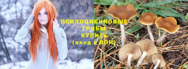 скорость Алексин