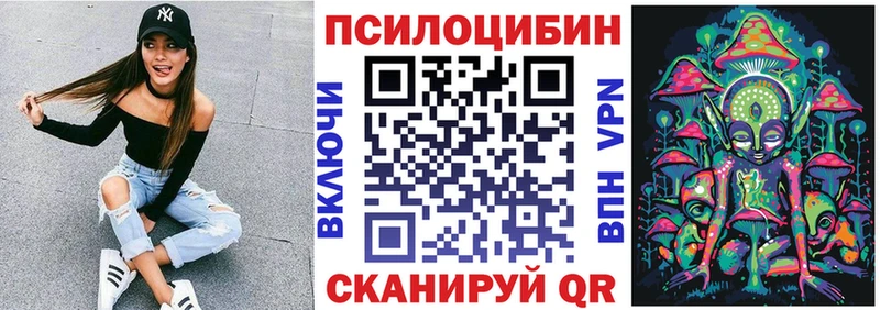 цена наркотик  Адыгейск  Псилоцибиновые грибы мицелий 